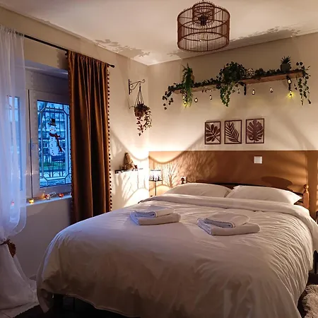 το σπίτι στην πόλη του μύλου των ξωτικών Trikala (Thessaly)